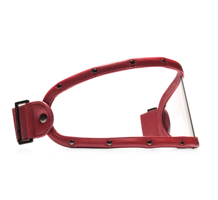 EQ VISOR // BURGUNDY