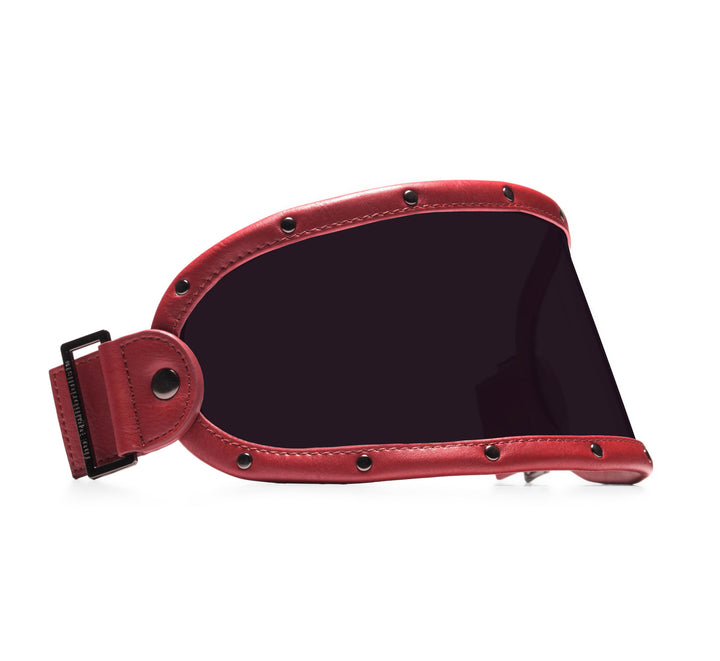 EQ VISOR // BURGUNDY