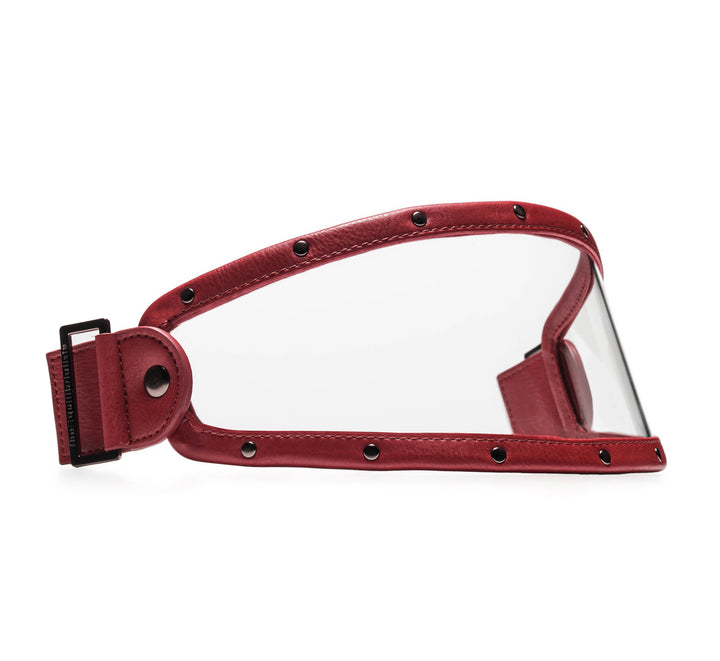 EQ VISOR // BURGUNDY